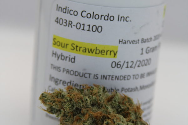 Indico - Sour Strawberry - Fh5